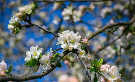 Новая форма РСВ, технологический сбор: новости недели с 13 по 17 апреля 2026 года